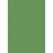 Английская краска Mylands, цвет Calke Green 34