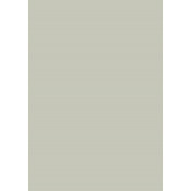 Английская краска Mylands, цвет Elephants Breath 229