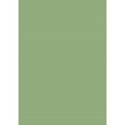 Английская краска Mylands, цвет Lichen 19