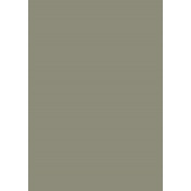 Английская краска Mylands, цвет Mouses Back 40