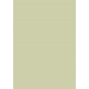 Английская краска Mylands, цвет Old White 4