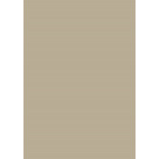 Английская краска Mylands, цвет Smoked Trout 60