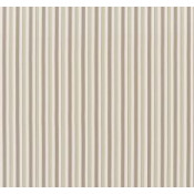 Studio Stripes