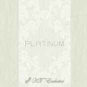 Platinum Modern