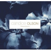 Candice Olson Tranquil