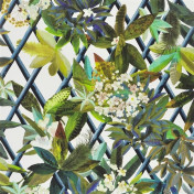 Обои Christian Lacroix STRAVAGANZA, артикул PCL661/07