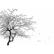 Панно Affresco, коллекция Фрески и фотообои, артикул ID135780