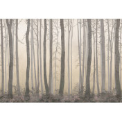 Панно Affresco, коллекция Фрески и фотообои, артикул ID135978