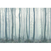 Панно Affresco, коллекция Фрески и фотообои, артикул ID135986