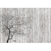 Панно Affresco, коллекция Фрески и фотообои, артикул ID136236