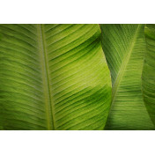 Панно Affresco, коллекция Фрески и фотообои, артикул ID136392