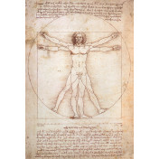 Панно Affresco, коллекция Фрески и фотообои, артикул 5014