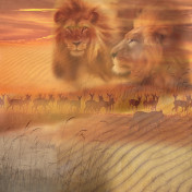 Панно Affresco, коллекция Фрески и фотообои, артикул 5112