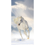 Панно Affresco, коллекция Фрески и фотообои, артикул ID10768