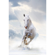 Панно Affresco, коллекция Фрески и фотообои, артикул ID10769