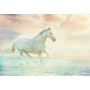 Панно Affresco, коллекция Фрески и фотообои, артикул ID10781