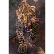 Панно Affresco, коллекция Фрески и фотообои, артикул ID10782