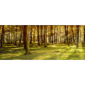 Панно Affresco, коллекция Фрески и фотообои, артикул ID10860