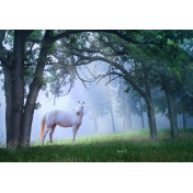 Панно Affresco, коллекция Фрески и фотообои, артикул ID10869