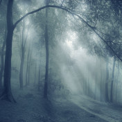 Панно Affresco, коллекция Фрески и фотообои, артикул ID10887