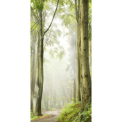 Панно Affresco, коллекция Фрески и фотообои, артикул ID10907