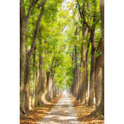 Панно Affresco, коллекция Фрески и фотообои, артикул ID10925