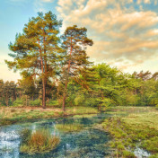 Панно Affresco, коллекция Фрески и фотообои, артикул ID10931