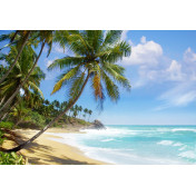 Панно Affresco, коллекция Фрески и фотообои, артикул ID11109