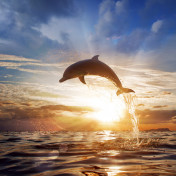 Панно Affresco, коллекция Фрески и фотообои, артикул ID11199