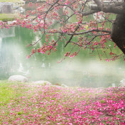 Панно Affresco, коллекция Фрески и фотообои, артикул ID11360