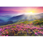 Панно Affresco, коллекция Фрески и фотообои, артикул ID12028