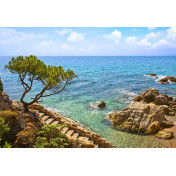 Панно Affresco, коллекция Фрески и фотообои, артикул ID12050