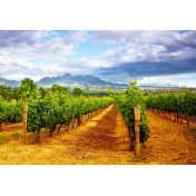 Панно Affresco, коллекция Фрески и фотообои, артикул ID12104