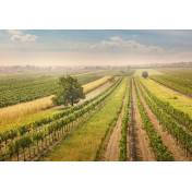 Панно Affresco, коллекция Фрески и фотообои, артикул ID12105