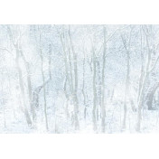 Панно Affresco, коллекция Фрески и фотообои, артикул ID12112