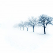 Панно Affresco, коллекция Фрески и фотообои, артикул ID12121