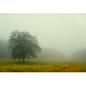 Панно Affresco, коллекция Фрески и фотообои, артикул ID12142