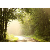 Панно Affresco, коллекция Фрески и фотообои, артикул ID12180