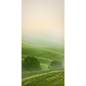 Панно Affresco, коллекция Фрески и фотообои, артикул ID12220