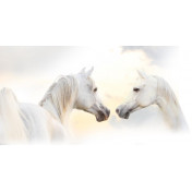 Панно Affresco, коллекция Фрески и фотообои, артикул ID12321