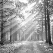 Панно Affresco, коллекция Фрески и фотообои, артикул ID12365