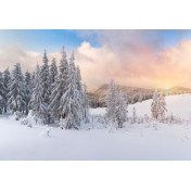 Панно Affresco, коллекция Фрески и фотообои, артикул ID12381