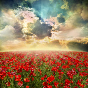 Панно Affresco, коллекция Фрески и фотообои, артикул ID12399