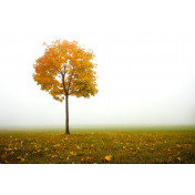 Панно Affresco, коллекция Фрески и фотообои, артикул ID12499