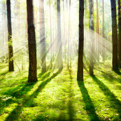 Панно Affresco, коллекция Фрески и фотообои, артикул ID12500