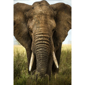 Панно Affresco, коллекция Фрески и фотообои, артикул ID13104