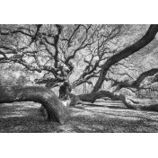 Панно Affresco, коллекция Фрески и фотообои, артикул ID13120