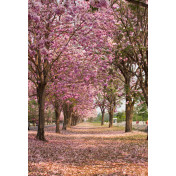 Панно Affresco, коллекция Фрески и фотообои, артикул ID13166