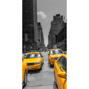 Панно Affresco, коллекция Фрески и фотообои, артикул ID13380