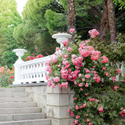 Панно Affresco, коллекция Фрески и фотообои, артикул ID13401